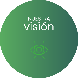 vision